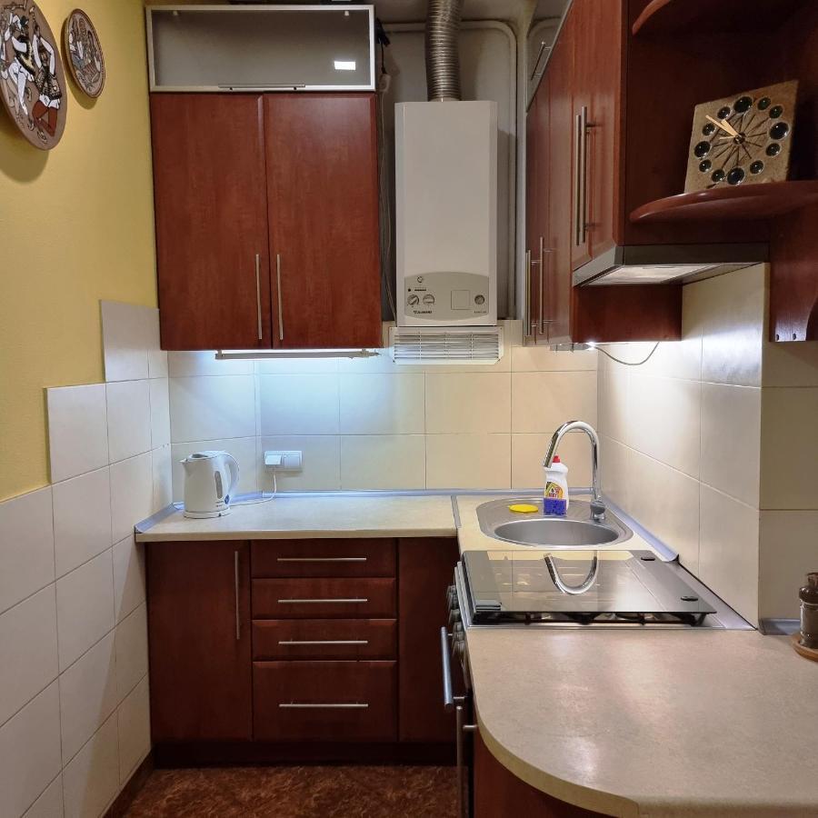 Cozy Apartment Lviv Dış mekan fotoğraf